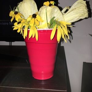 Meet your Posher, Tanya